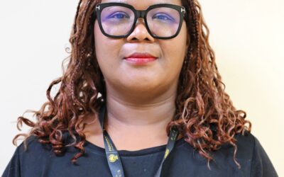 Professionalisation Of The Public Sector And Its Implications For The Legislative Sector